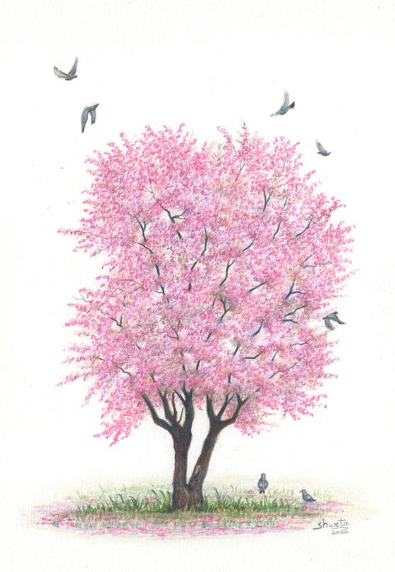 Japanese Cherry Blossom Tree