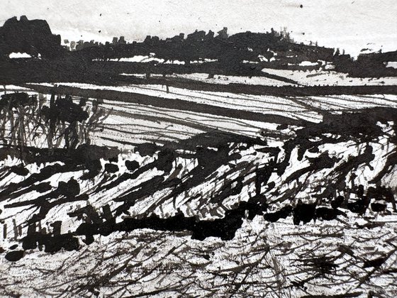 Pennsylvania Fields 2