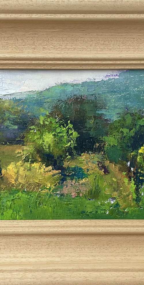 Tuscan allotment by Alexandra Morris