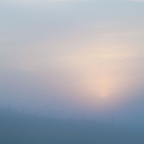 Sea Mist I by Lynne Douglas