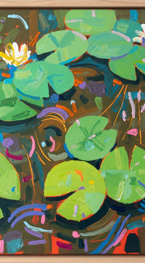 Tasman Lily Pond 55 by Joseph Villanueva