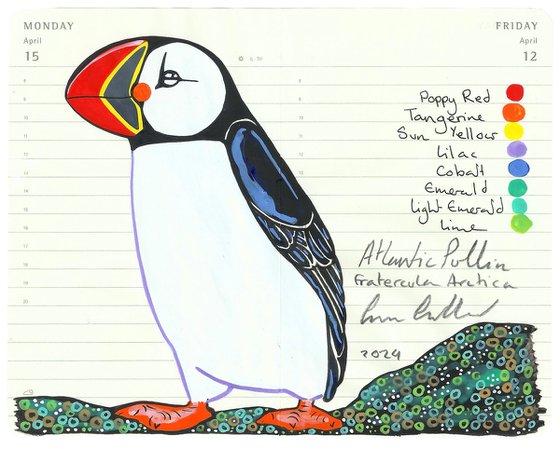 Birds of Europe: Atlantic Puffin