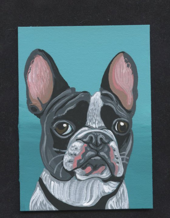 ACEO ATC Original Miniature Painting Black French Bulldog Pet Dog Art-Carla Smale