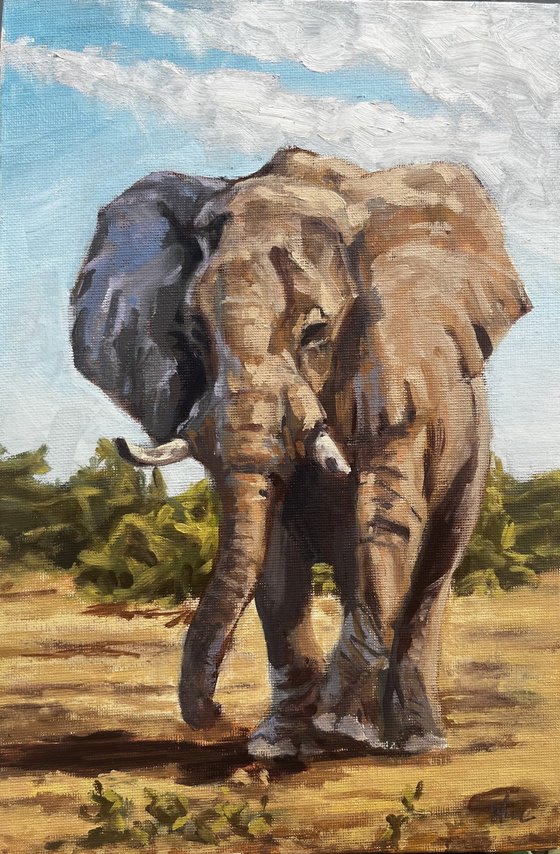 Elephant 2