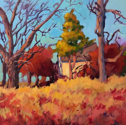 Fall in Iowa by Sri Rao