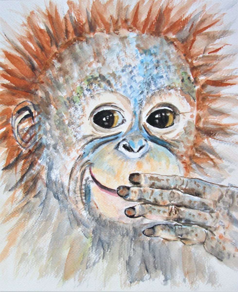 Cute Orangutan baby, Monkey Primate (987) by MARJANSART