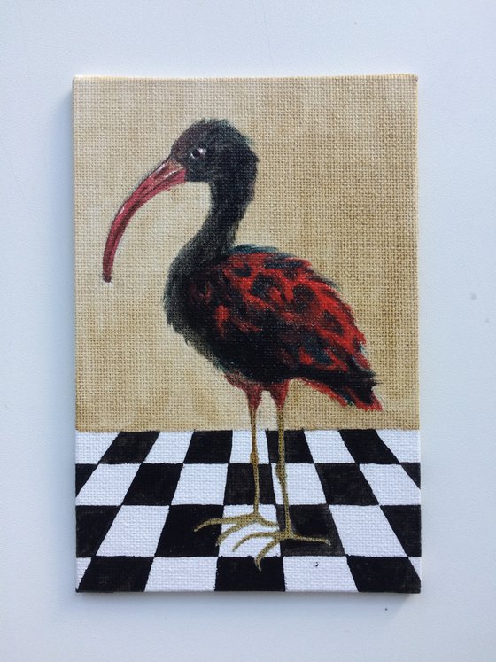 Bird portrait of black Ibis on a chessboard - Gift idea for bird lover