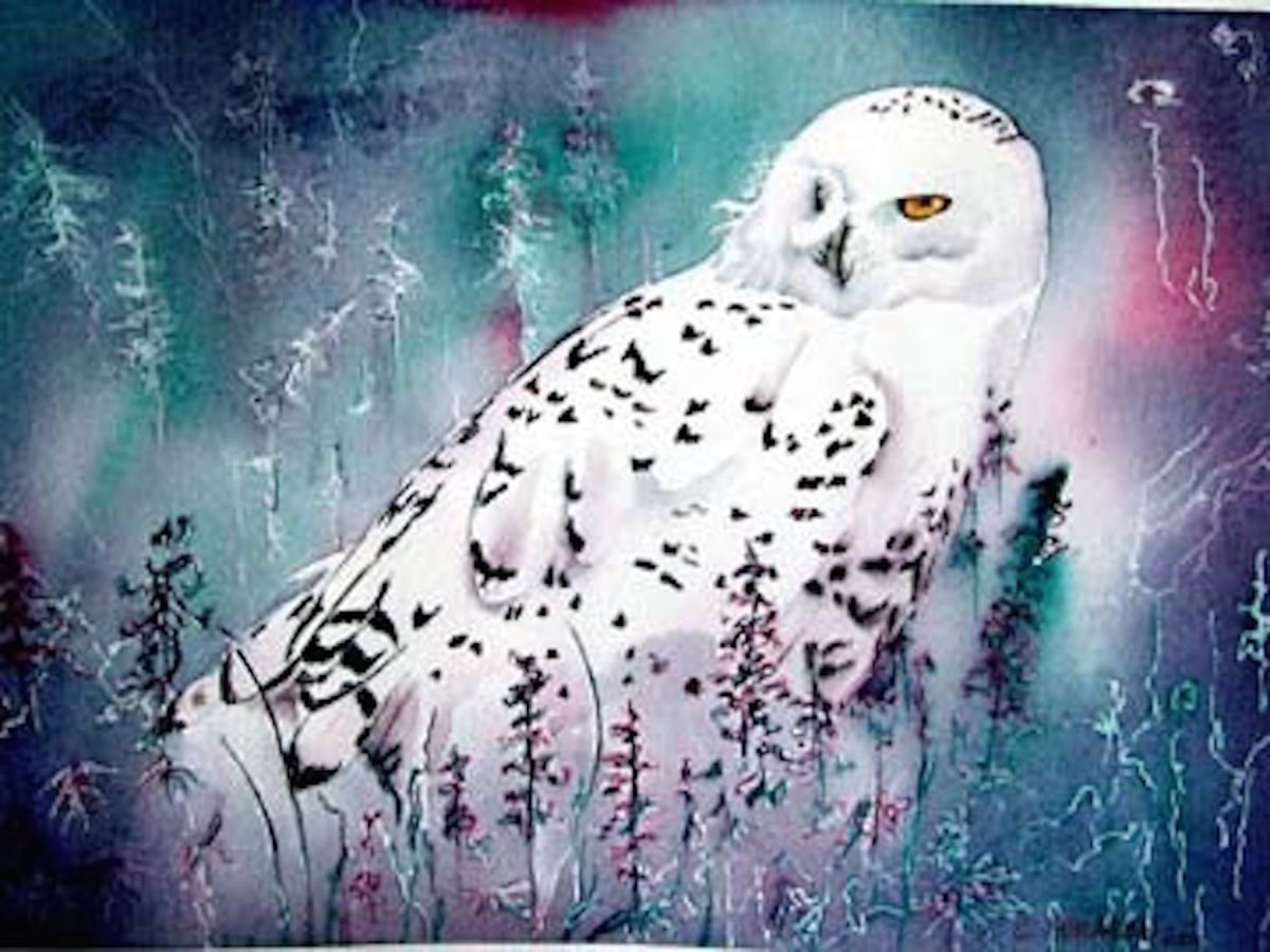 Snowy Owl by Cheryl Feragen