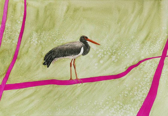 Black stork with pink trees