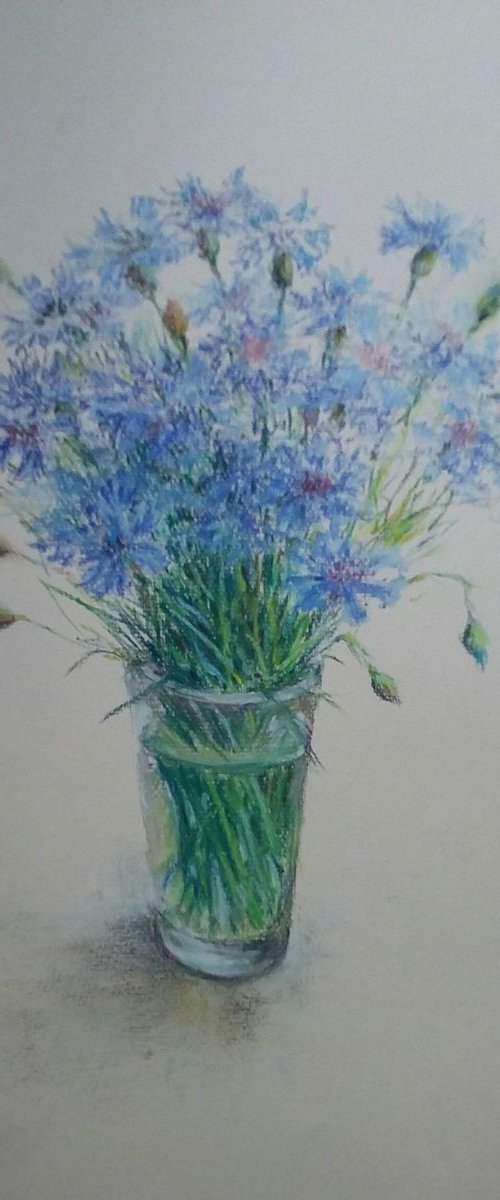Cornflowers by Elena Klyan