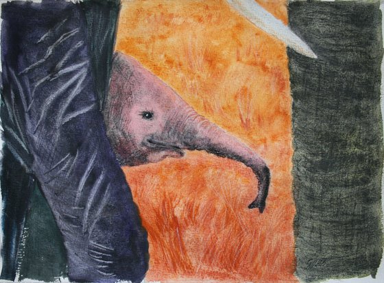 Baby Elephant IV