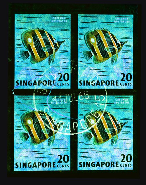 Singapore Stamp Collection 20 Cents Singapore Butterfly Fish (Turquoise) by Richard Heeps