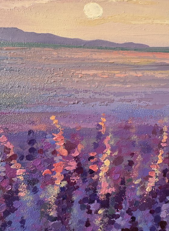 Blushing lavender morning