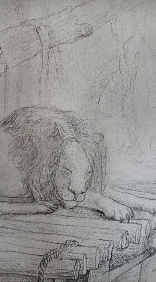 Lions` rest II by Nikola Ivanovic