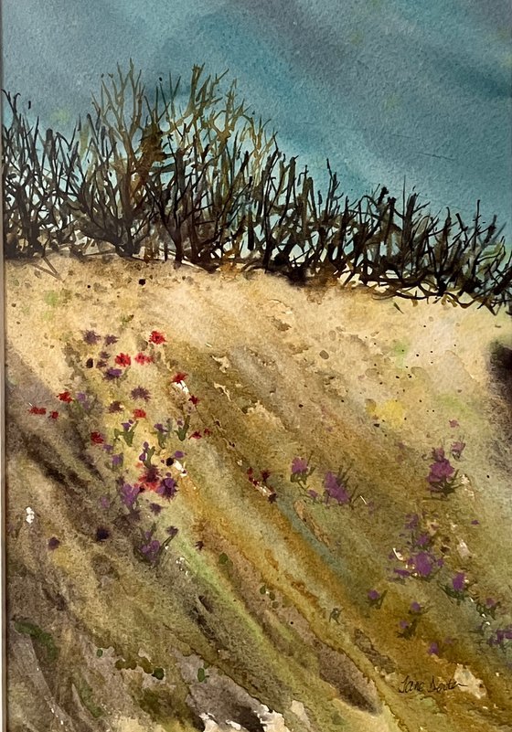 Cornish Hedgerow