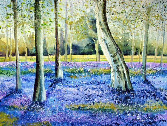 Bluebell Woods