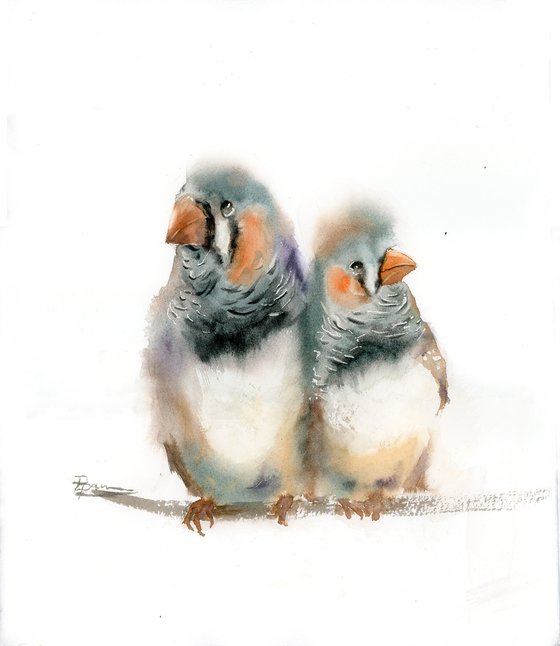 Pair of zebra finches