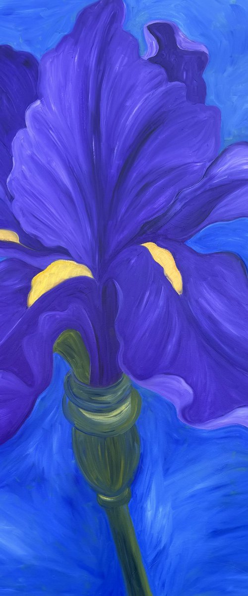Giant Purple Iris by Laurel Macdonald