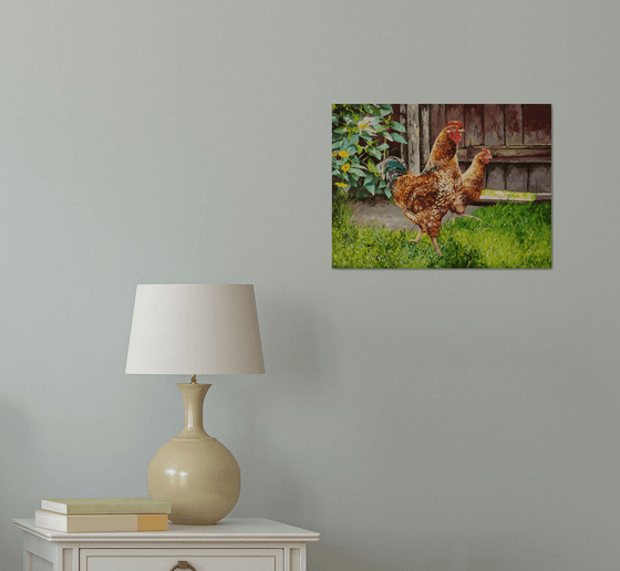 Rooster and chicken, Farmyard Scenery