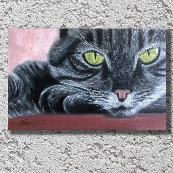 Portrait of lovely grey cat with green eyes