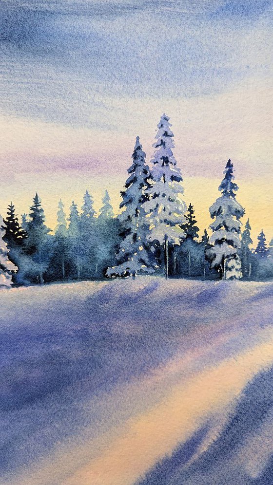 Winter Forest in Gentle Sunlight