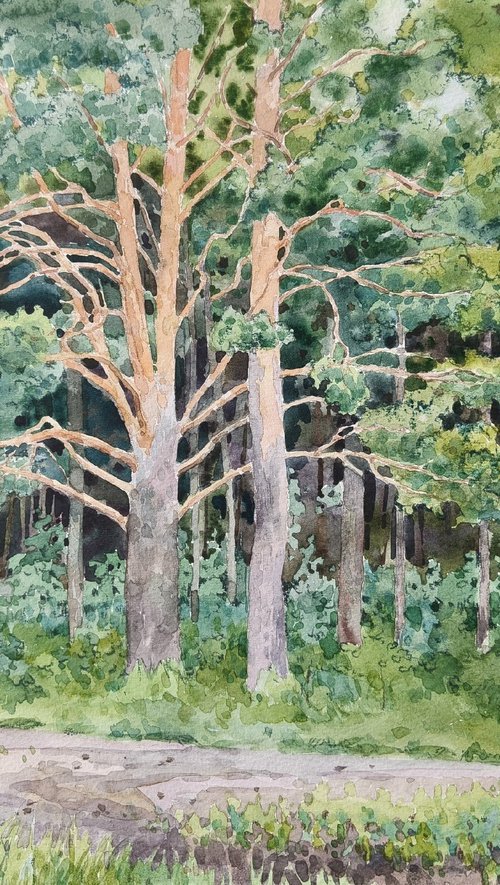 Evening in Pribrezhny Park by Olga Goryunova