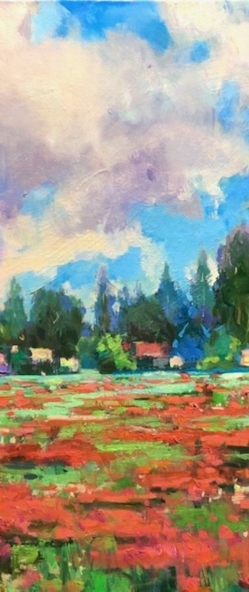 Happy Poppy-Land by Emily Lane