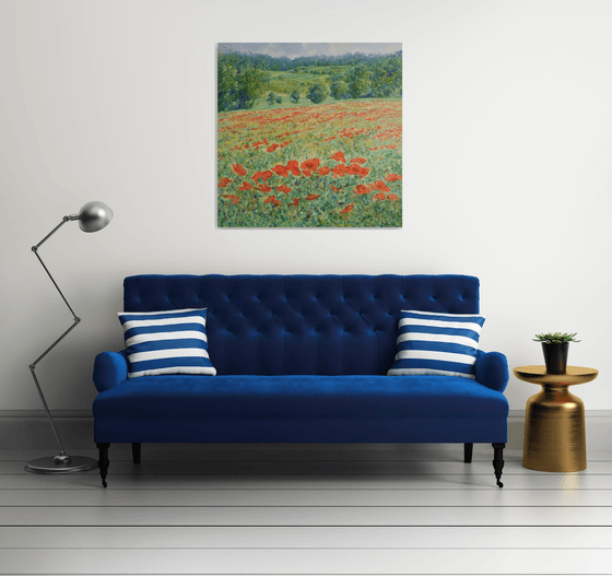 Poppy fields in Tuscany