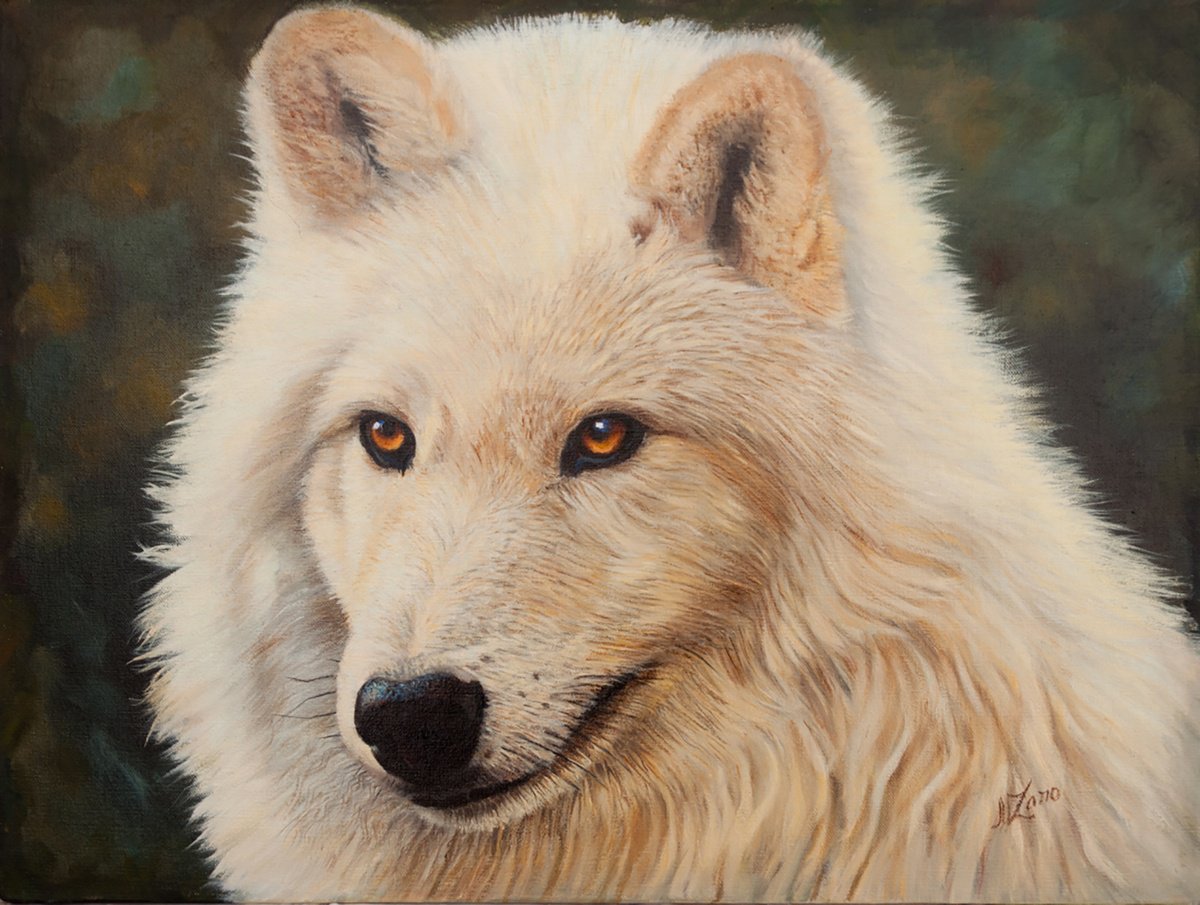 White Wolf by Norma Beatriz Zaro