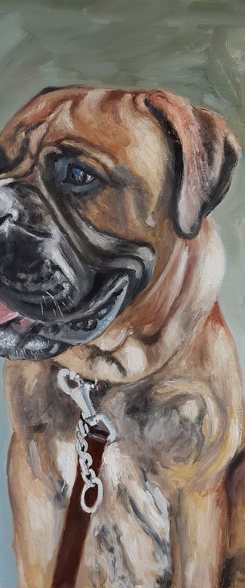 English bulldog by Els Driesen