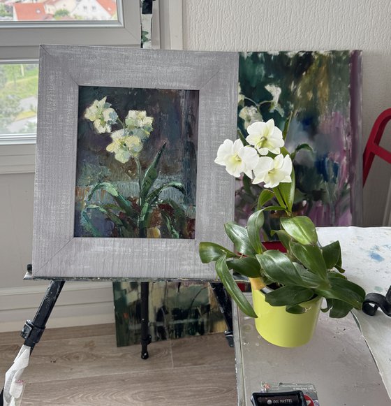 Small white flower