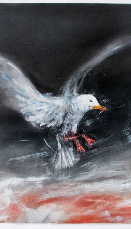 Night Gull 1 by John Sharp