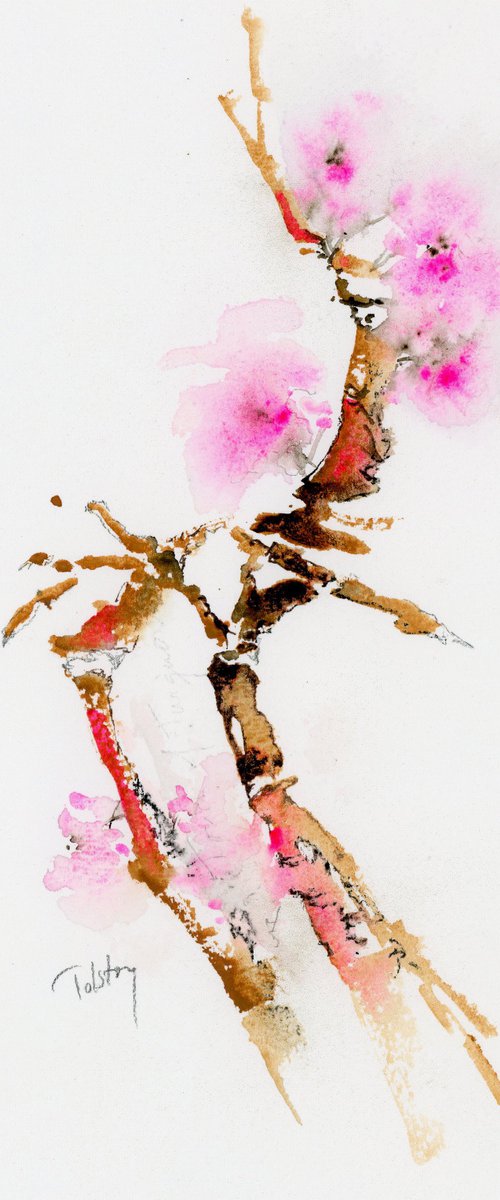 Branches with Pink Blossoms by Alex Tolstoy
