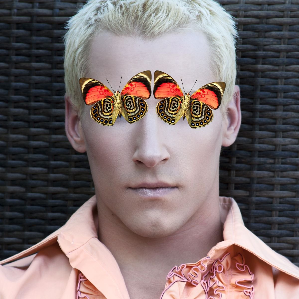 Surrealistic Photograph , Mister Butterfly By William Dey, 22 X 22, Artwork For Sale On Artfinder