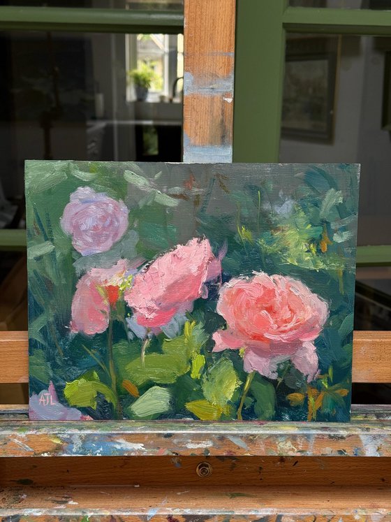 Strawberry Hill Roses