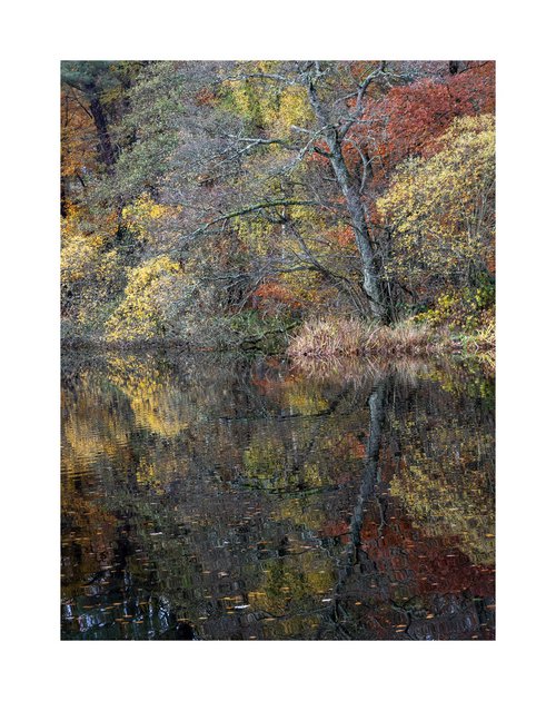 Monymusk Reflections II by David Baker