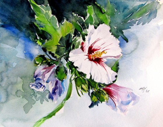 Mallow