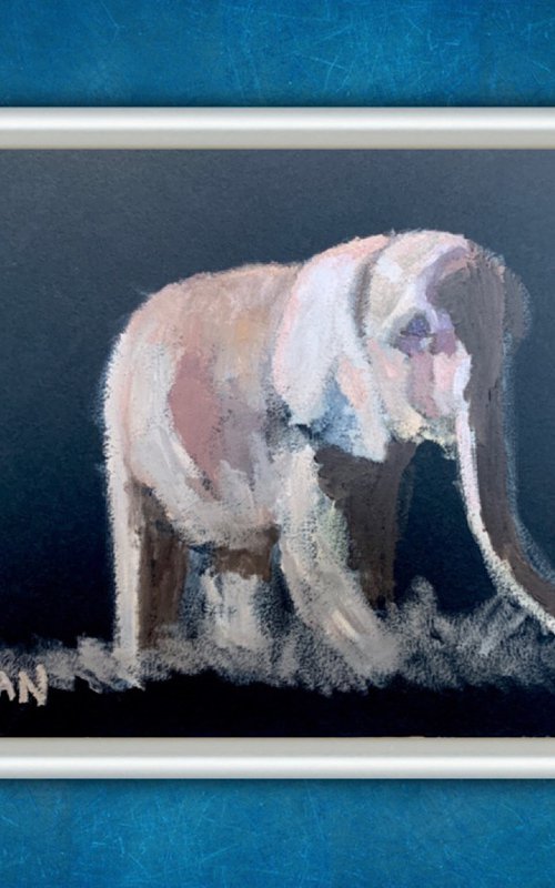 Baby Elephant by Ryan  Louder