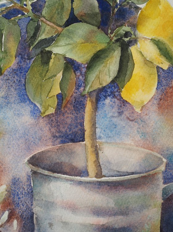 Country still life with lemon tree - original watercolor