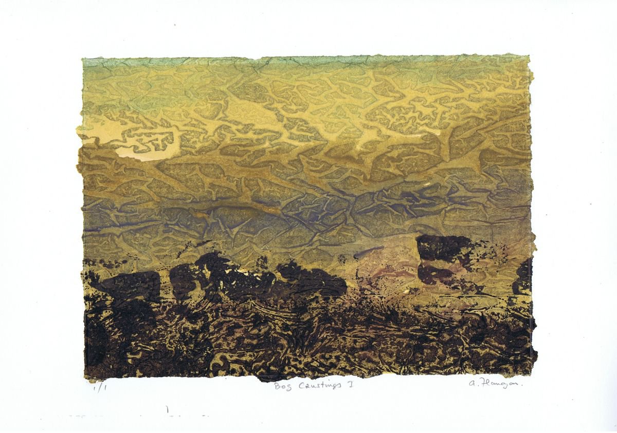 Expressive Landscape Limited Edition Print By Aidan Flanagan Irish Landscapes, 17 X 11, Bog Crustings, Original Artwork