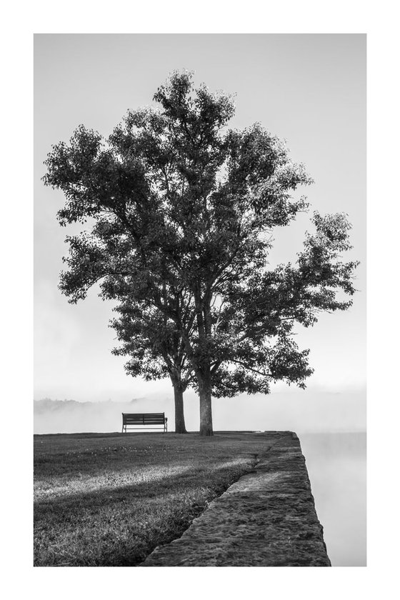 Bench and Tree in Fog, 12 x 18"