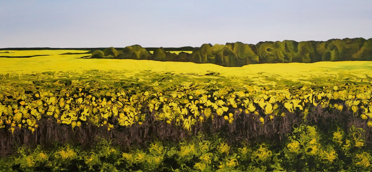 Golden Canola Field by Vera Hoi