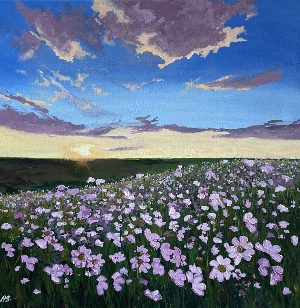 Field of Daisies by Anne Shaughnessy