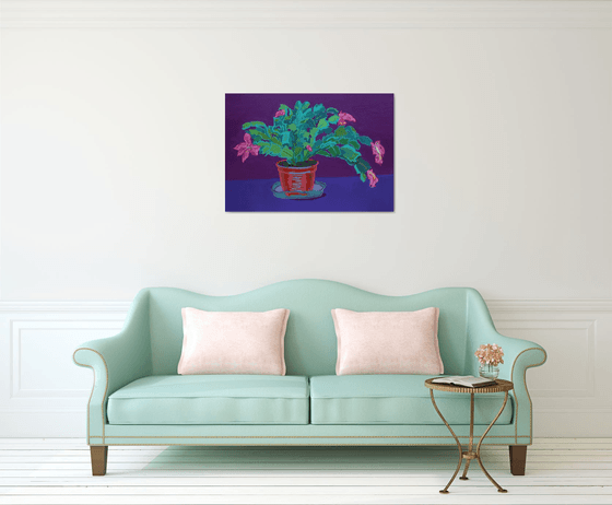 Holiday cactus