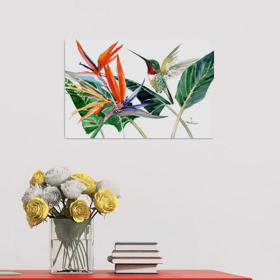 Hummingbird and Birds of Paradise Flowers
