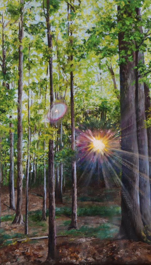 Sunlit Grove in Morning Light by Natalia Shaykina