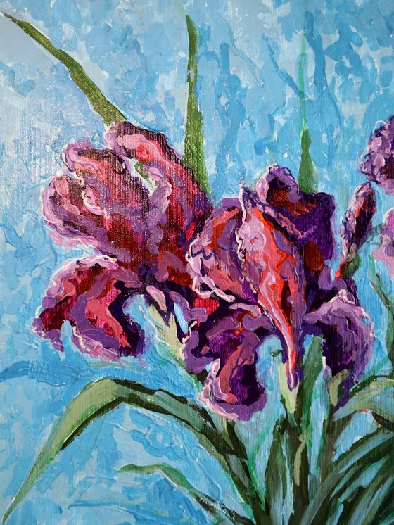 Irises on Blue