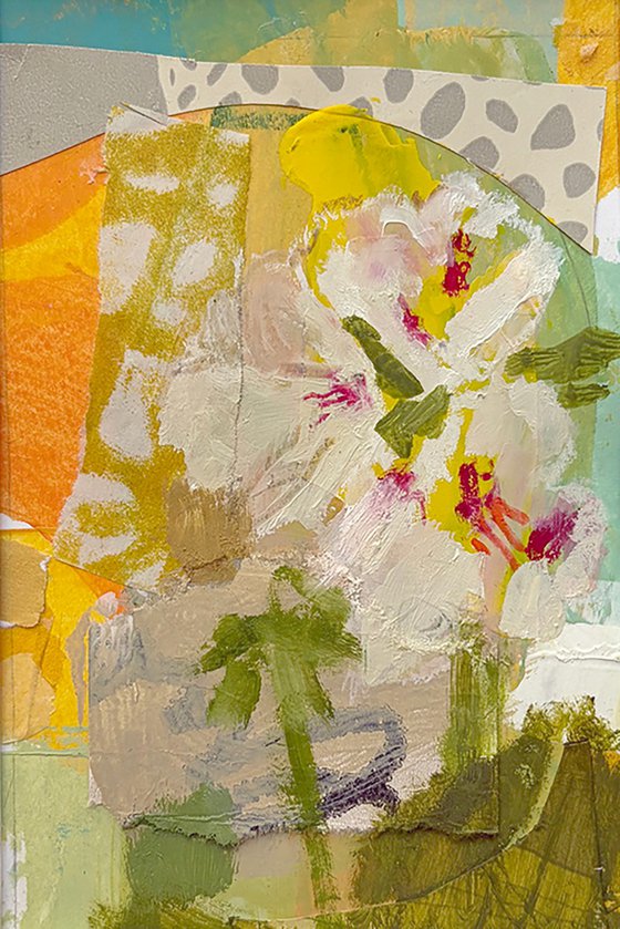 Geranium