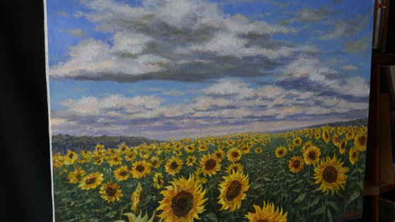 Sunflower Field - original landscape painting