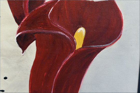Velvet Bloom